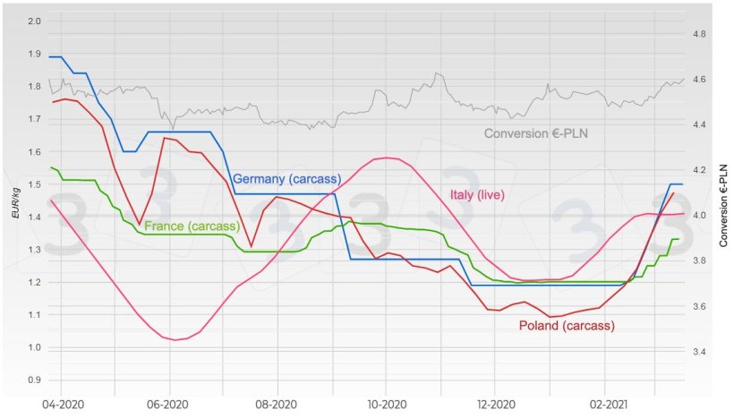 Graph 3. Evolution of pig prices in Germany, France, Italy, and Poland.
