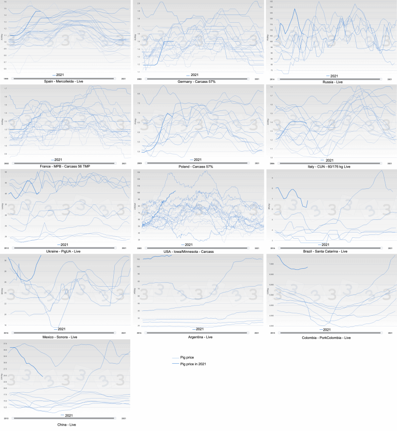 Figure 2. Evolution of the pig price (blue) by year for different countries. The thick line represents the price in 2021.