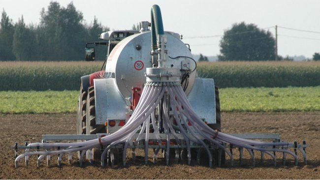 pig slurry