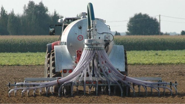 pig slurry