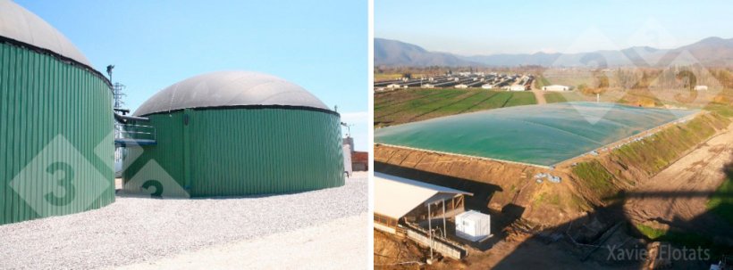 Figure&nbsp;2. Typical digesters in the swine industry. Left: Anaerobic complete mix reactor with co-digestion on a pig farm (courtesy of Ecobiogas, Vila-sana, Lleida); Right: Covered anaerobic lagoon with gas recovery (courtesy of Agr&iacute;cola AASA, Chile).
