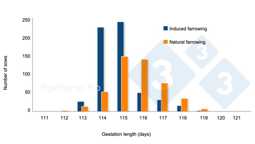 Graph&nbsp;3. Comparison of gestation length between induced farrowing at 114 days and natural farrowing on a specific farm&nbsp;(Are sows asking for the Pig334? 2/2).
