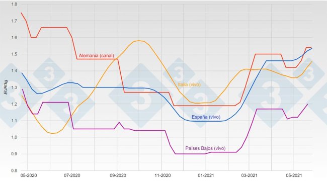 Graph 1. Evolution of pig prices in Germany, Spain, the Netherlands, and Italy.