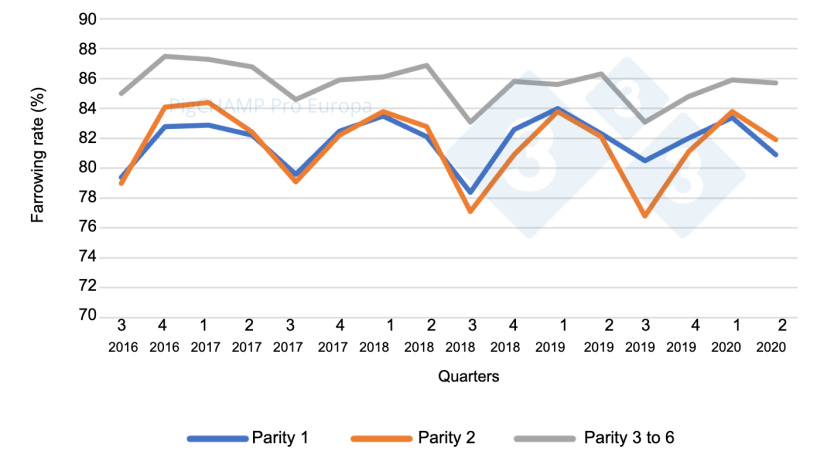 Graph&nbsp;4.&nbsp;Farrowing rate per parity and quarter of mating, mating period July 16-June 20.
