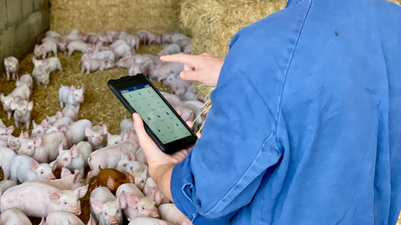 Apiam&rsquo;s Data Pig works on-farm, hand in hand with producers backed up by their veterinarians. Producers own and control their own data and access to where it is securely stored in the cloud.
