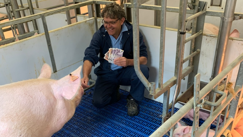 Higher welfare farrowing pens provide more space for sows - but will cost the pig industry over &pound;200 million - says Tim Miller, of ARM Buildings
