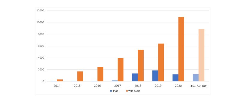 Evolution of ASF outbreaks in the EU.
