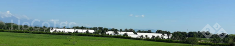 Panoramic view of the farm
