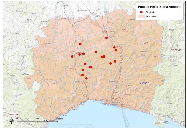 ASF cases in Italy
