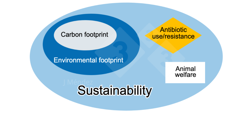 Figure&nbsp;1. Key sustainability concepts.
