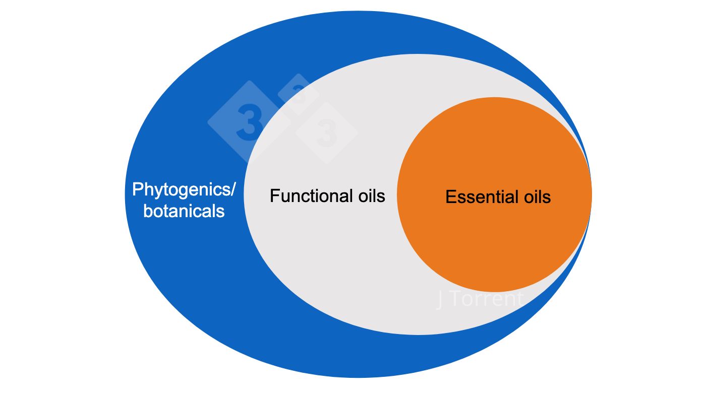 Figure 1. Illustration of the terminology used for essential oils, functional oils, and botanicals or phytogenic compounds.
