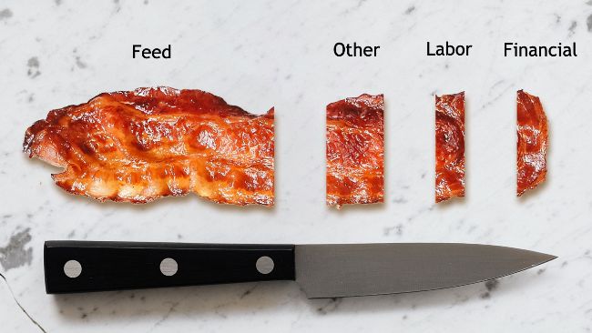 Feed conversion ratio
