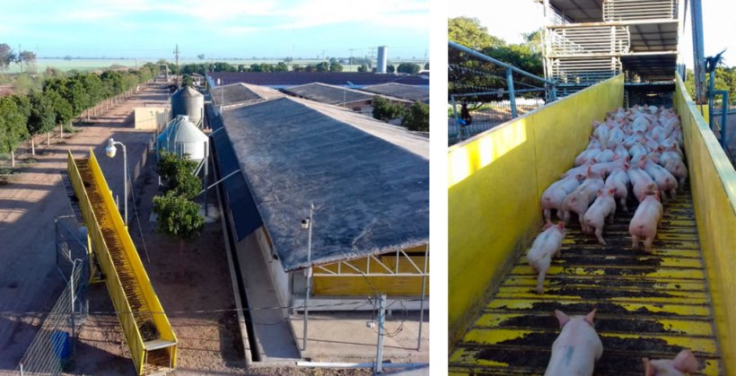 Picture 5. Loading bay.
