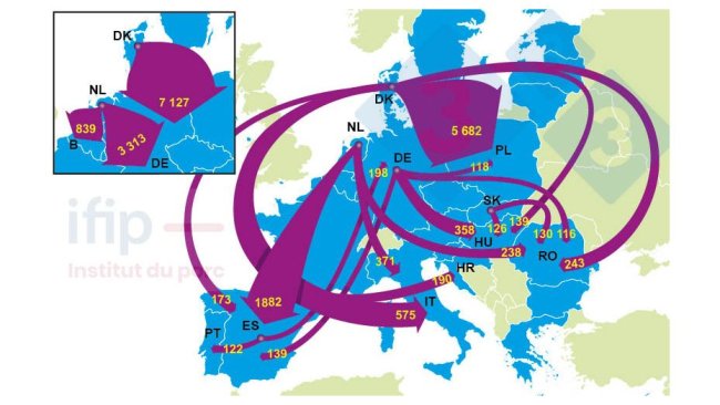 Exports of piglets in 2021.