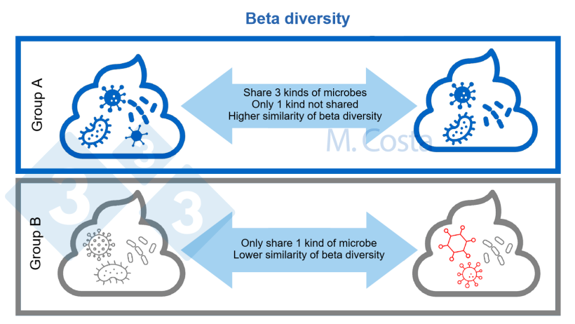 Figure 3. Understanding changes in microbial composition between samples (beta diversity). A more similar microbial community shares more types of microbes between samples. Usually, other aspects (such as genetic relationships between microbes) is taken into account when calculating the beta diversity index.
