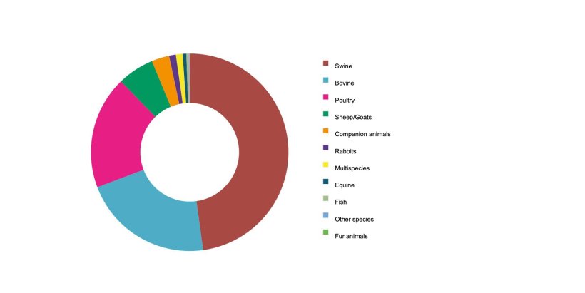 Spanish feed production by species in 2020 (t). Source: MAPA.