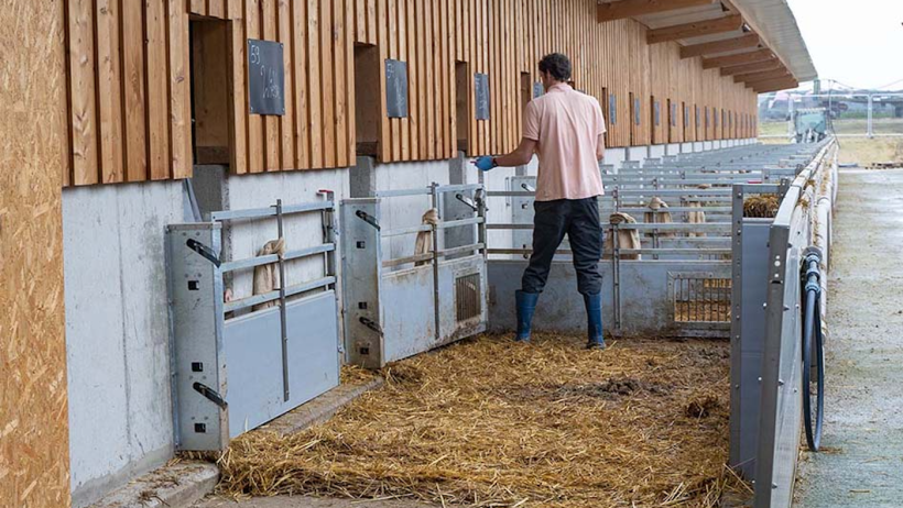 The new WEDA Quick.Gate enables simultaneous mucking out of several outdoor runs in one pass.