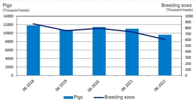 Evolution of the Polish pig inventory. Source: GUS.