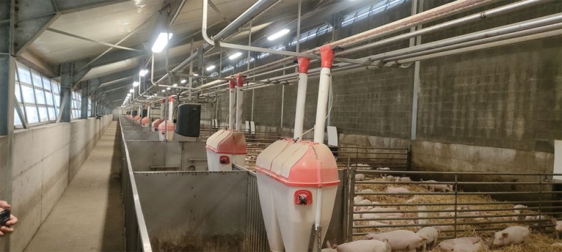 Photo&nbsp;1. Weaning ban with a single sloped roof
