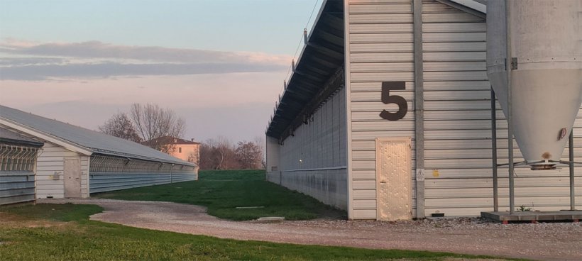 Photo 4. All the barns are numbered. You can't get lost.
