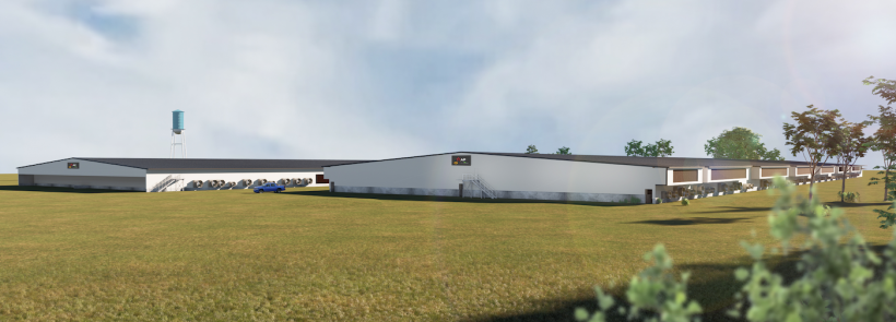 All-steel gestation (left) and farrowing barns rendering.