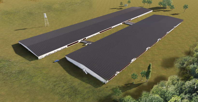 All-steel gestation (top) and farrowing barns rendering.