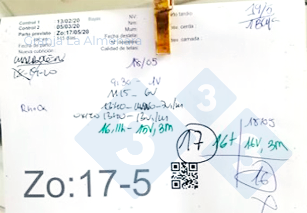 Photo 10: QR codes on the sow cards to facilitate data entry.