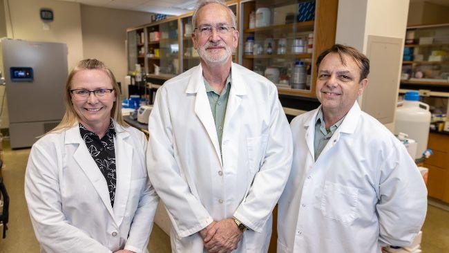 Randall Prather (middle), Kevin Wells (right), and Kristin Whitworth (left) all serve as scientists in the National Swine Resource and Research Center, where they work to move the needle on biomedical and agricultural innovation. Photo by Abbie Lankitus.