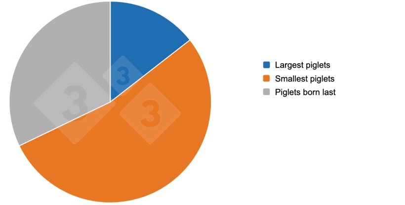 Results of the 333 survey on split suckling
