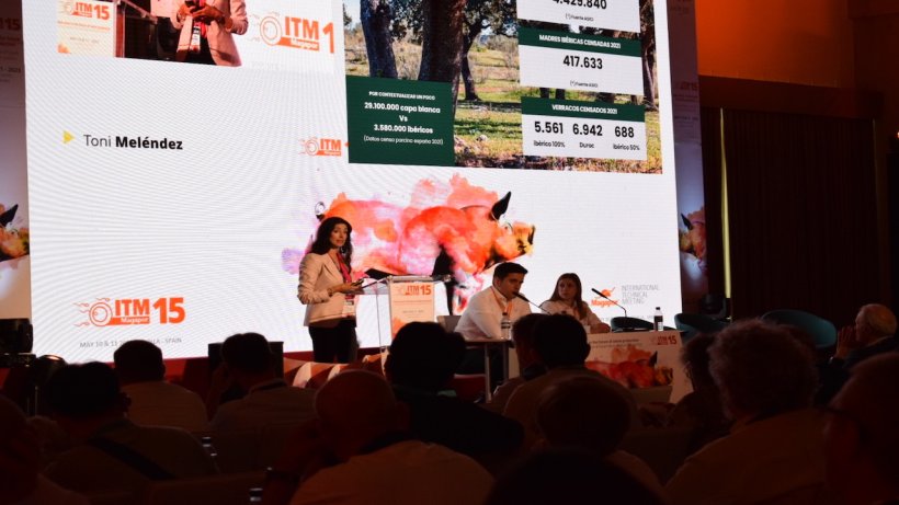 15th edition of the ITM meeting in Sevilla.