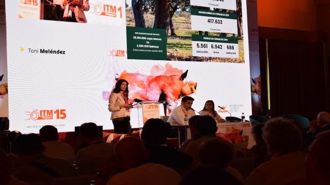15th edition of the ITM meeting in Sevilla.