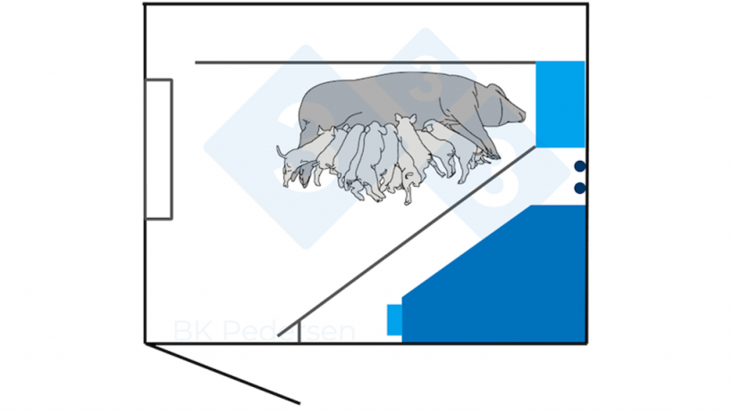 Figure 2. German requirements previously included a pen space of 6.5 m2 or more demanding that the sow must be able to lie laterally without touching the pen wall with stretched legs. Therefore, the German pens of the first generation typically are 3.00 m long and 2.30 m wide. The pen includes a farrowing crate placed 40 cm from the pen wall to allow the sow to lie recumbent without touching it.&nbsp;

