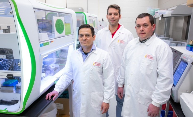 The Swine Disease Reporting System is managed by ISU faculty and graduate students in veterinary diagnostic and production animal medicine, including from left, associate professor Daniel Linhares, graduate student Guilherme Cezar and research assistant professor Giovani Trevisan, in a lab inside the Veterinary Diagnostic Lab. Photo by Christopher Gannon/Iowa State University.