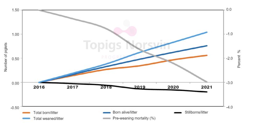Genetic trends for TN70
