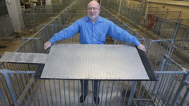 Robert M. Stwalley III, clinical associate professor in the Department of Agricultural and Biological Engineering at Purdue University, shows a cooling pad designed to keep hogs cool. IHT Group of Winnipeg, Manitoba, has signed an exclusive license and will manufacture and sell the pads in North America beginning spring 2024. (Purdue Agricultural Communication photo/Tom Campbell)
