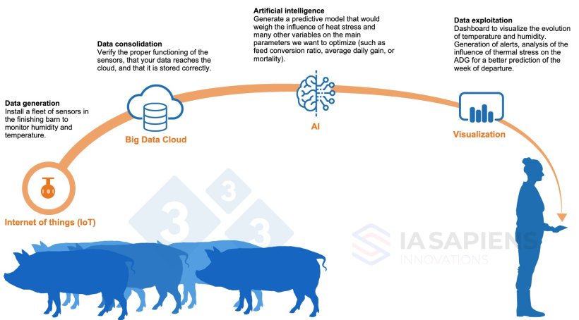 Figure&nbsp;1.&nbsp;AI implementation in finishing barns.
