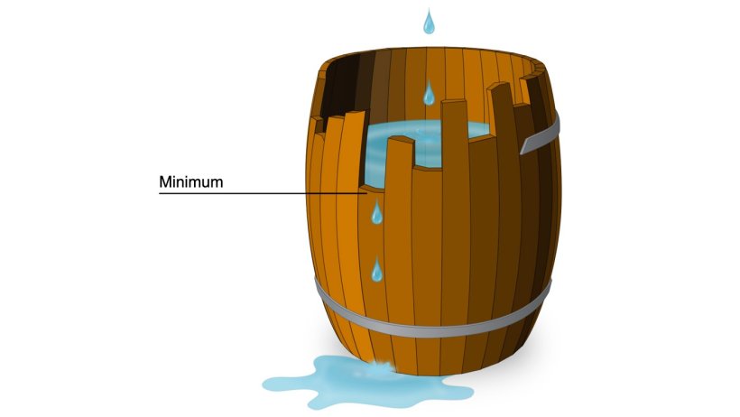 Figure 1. Graphical example of the meaning of a limiting amino acid based on Liebig's law. The protein is the barrel and the amino acids are the individual staves that make up the barrel. The capacity of the barrel is limited by the shortest stave just as the growth of the pig is limited by the least available amino acid.
