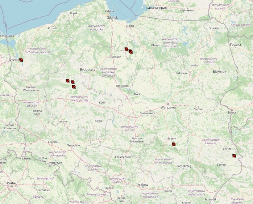 Distribution of ASF outbreaks in Poland in 2024. Source: Chief Veterinary Inspectorate