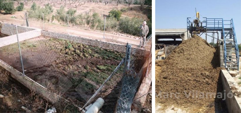 Photo 1. Pits and manure piles are critical points in fly control.
