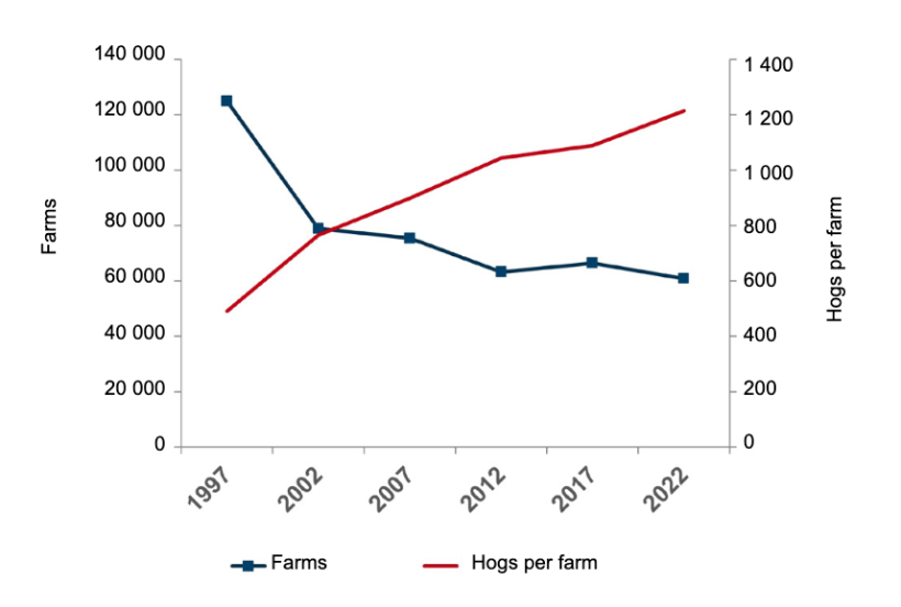 U.S. hog farms and hogs per farm. Source: Source: USDA-NASS Census of Agriculture, 2022.