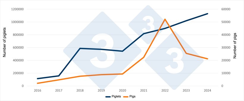 Spanish imports of Dutch piglets and pigs in the first six months of 2016 to 2024. Source: 333 based on RVO data.