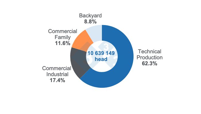 Swine inventory 2023 breakdown. Prepared by 333 Latin America with data from the Colombian Agricultural Institute (ICA).