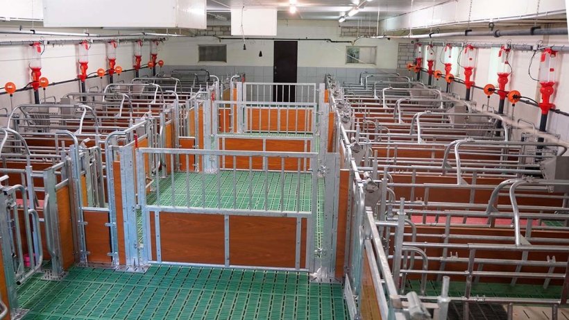 The self-catching function makes it possible to&nbsp;simply lock the animals in their pens during&nbsp;group&nbsp;farrowing, ensuring safe access to the pen and&nbsp;all important sub-areas.
