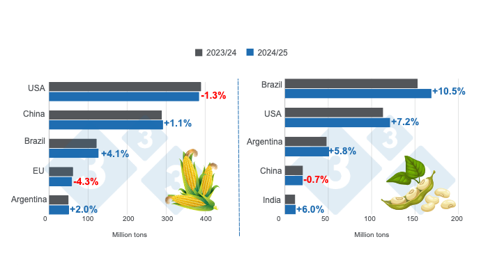 Crop projections for the main world corn and soybean producers - 2024/25 season versus 2023/24 season - last update: November 8, 2024. Prepared by 333 Latin America with data from FAS - USDA.&nbsp;
