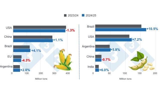 Crop projections for the main world corn and soybean producers - 2024/25 season versus 2023/24 season - last update: November 8, 2024. Prepared by 333 Latin America with data from FAS - USDA. 