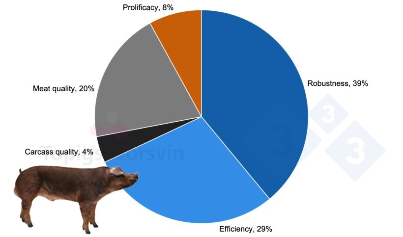 Figura 5. Selection objectives for Iberduroc.
