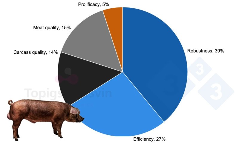 Figure&nbsp;4. Selection objectives for TN Duroc.
