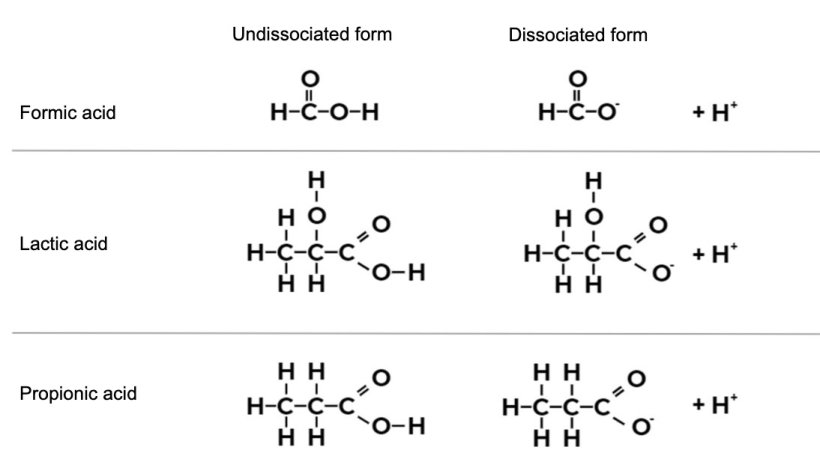 Figure 1. Chemical formula of formic acid, lactic acid, and propionic acid in their undissociated and dissociated forms.
