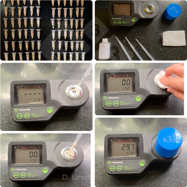 Photo 1. Use of digital refractometers for indirect measurement of immunoglobulin concentration.
