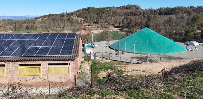 Anaerobic digestion plant located on a swine farm.
